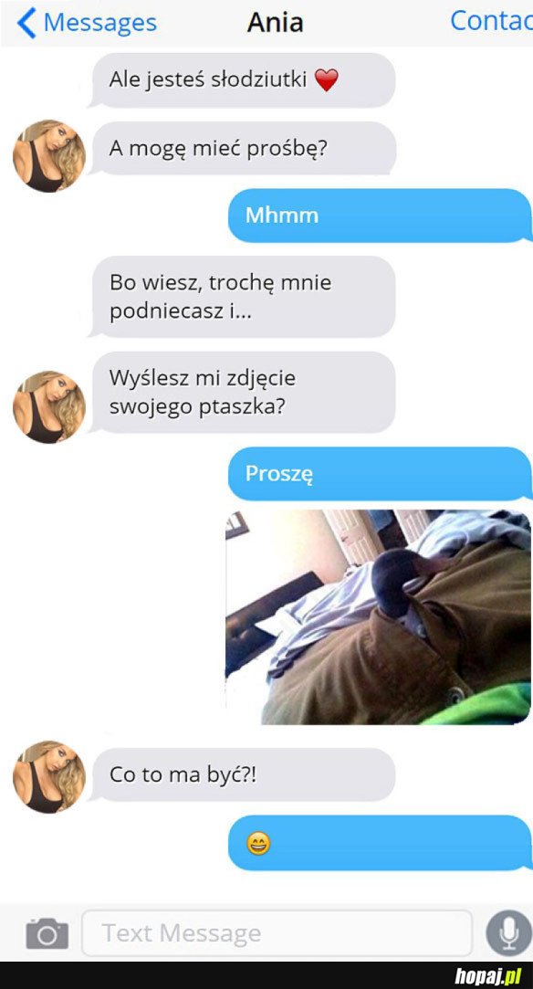 ZDJĘCIE PTASZKA