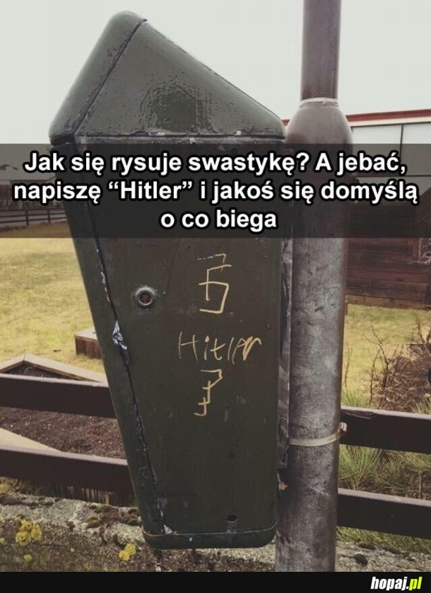 INTELIGENCJA NAZIOLI