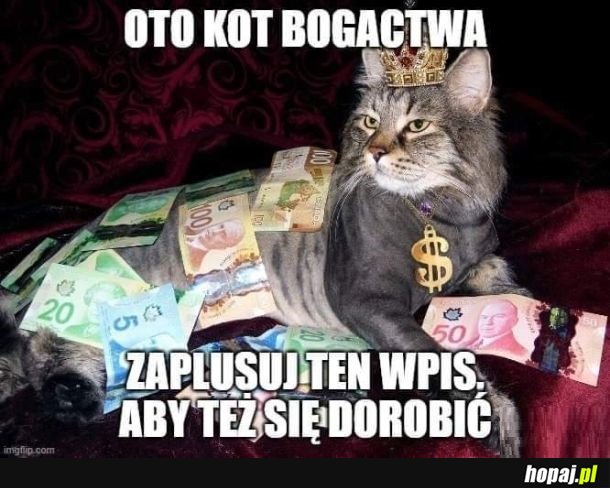 Naciągacz lajków xd