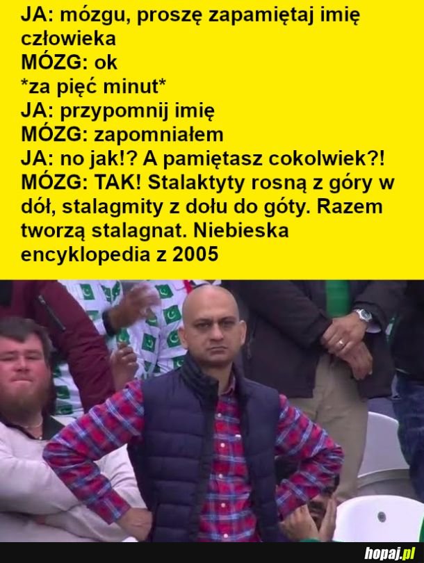 Dziękuję mój mózg