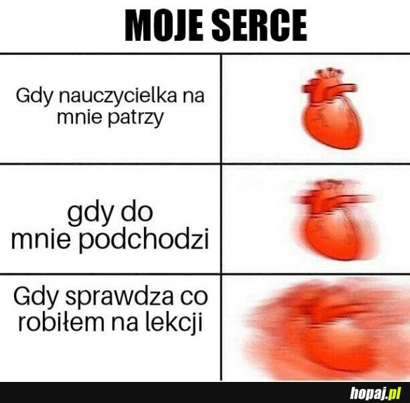 Stresik w szkole