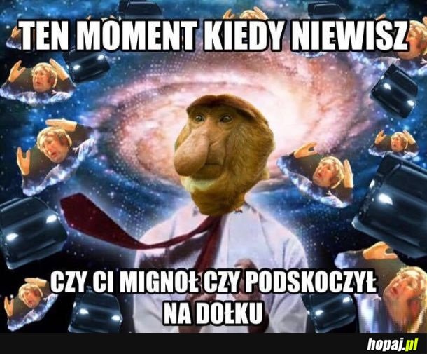 Stoją czy nie stoją