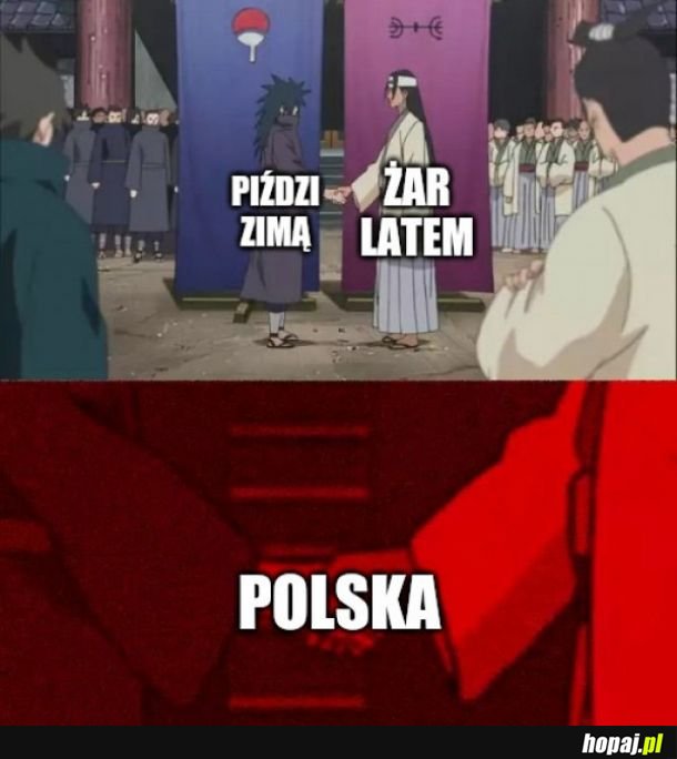 Pogoda