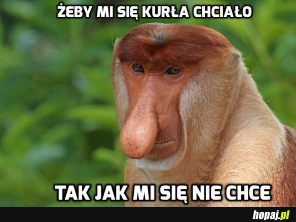 Chyba każdy tak ma