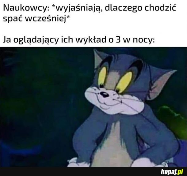 Wykład