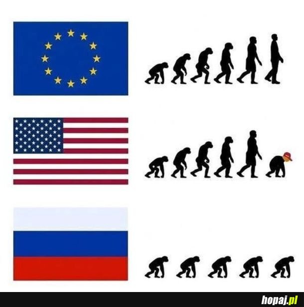 Ewolucja nie wszędzie jednaka