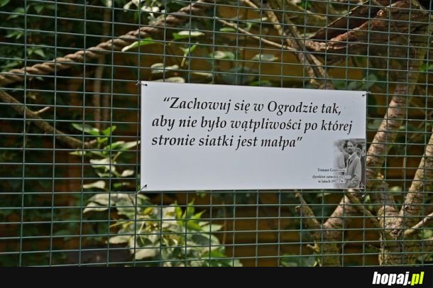 Nosacze Sundajskie mogą nie skumać 