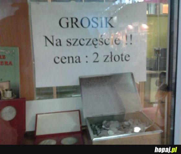 Chcesz grosika?