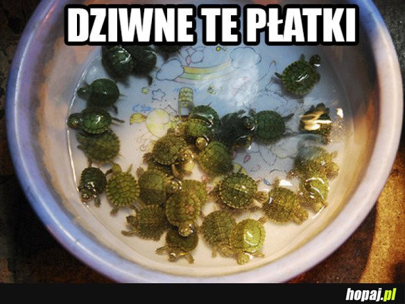 Płatki