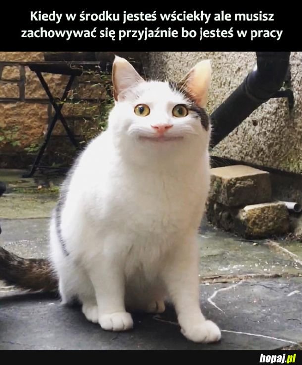 Opanuj się 