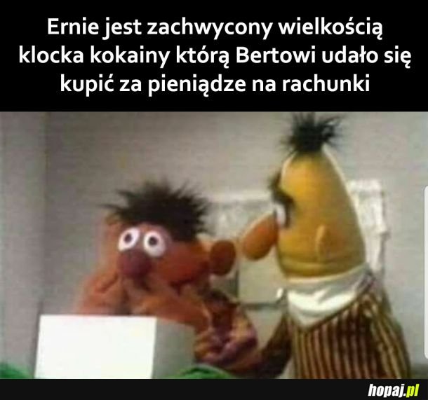 Ernie i Bert