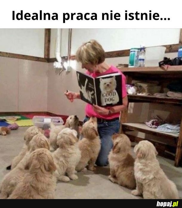 Praca marzeń