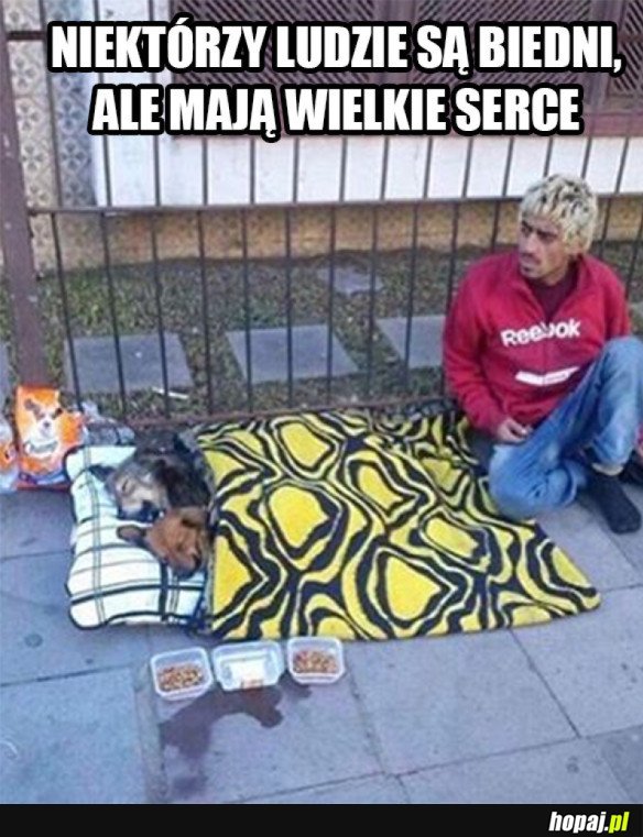 SZANUJĘ TAKICH LUDZI