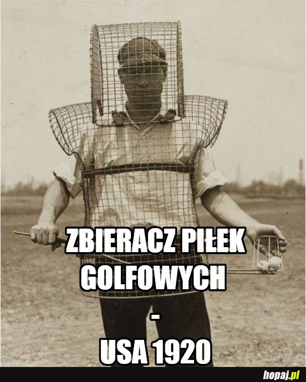 Zawody świata 