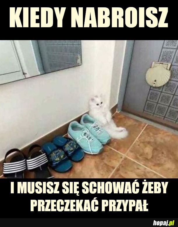 Ajajajaj
