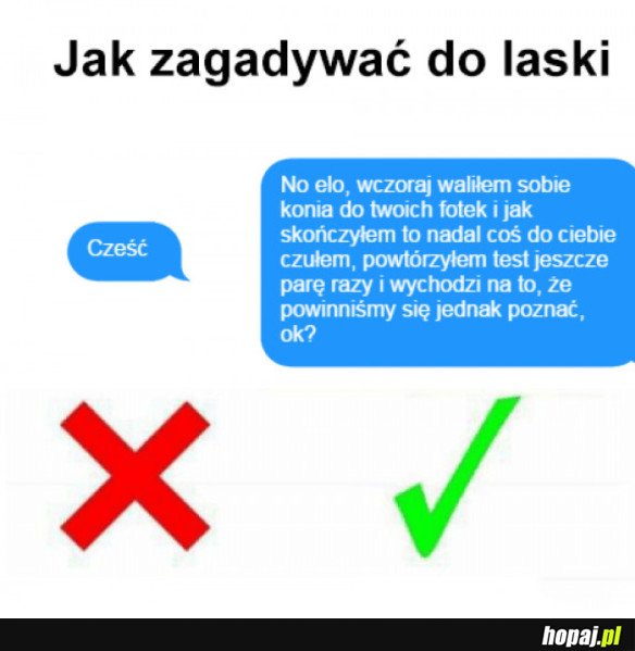 JAK ZAGADAĆ DO LASKI