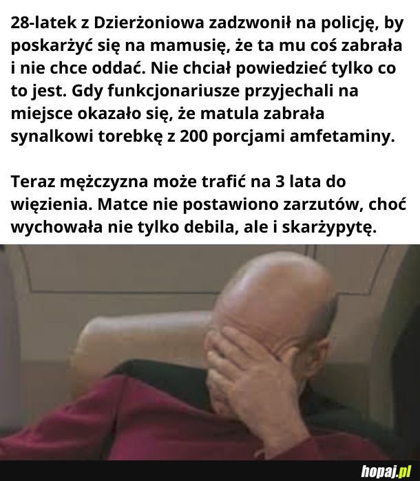 Brawo za wychowanie synka