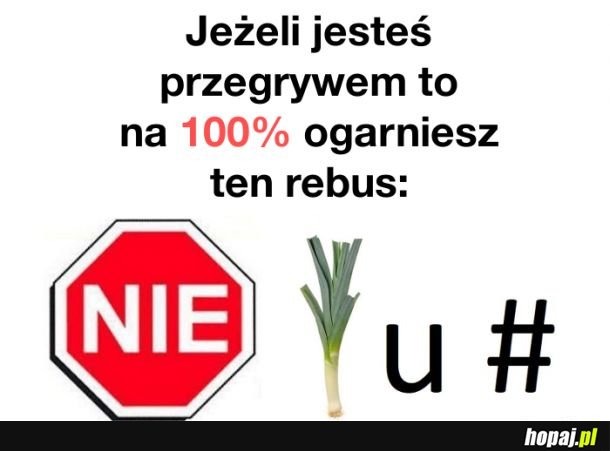 Ogarnij rebus