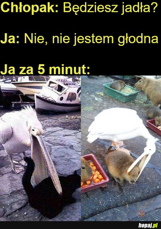 Bo jak zamawiamy jedzenie, to nie jestem głodna..