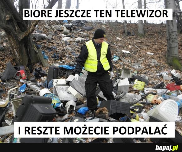 Witamy w Polsce