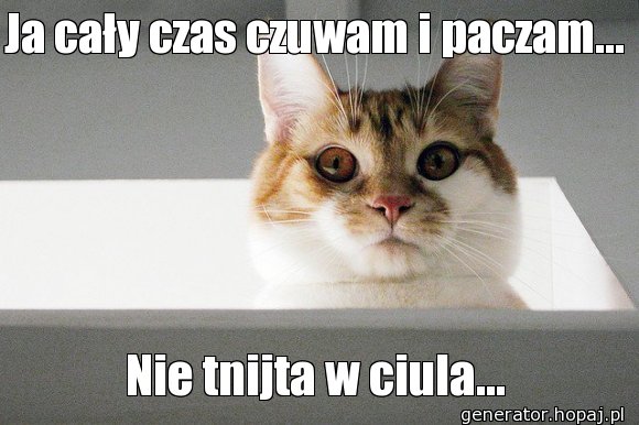 Ja cały czas czuwam i paczam...