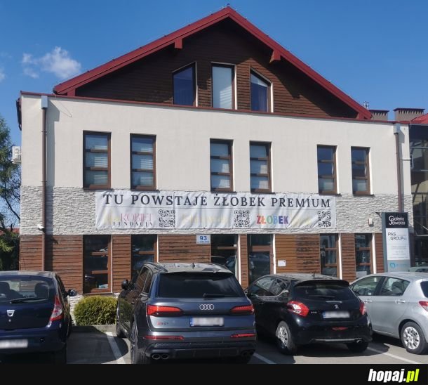 Masz dziecko premium czy byle jakie?