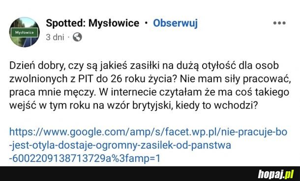 PiS obiecywał program ŚWINIA+.