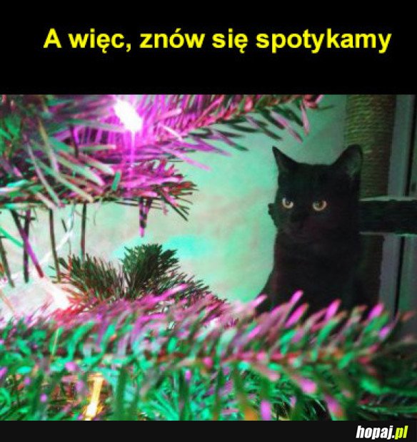 A WIĘC, ZNÓW SIĘ SPOTYKAMY