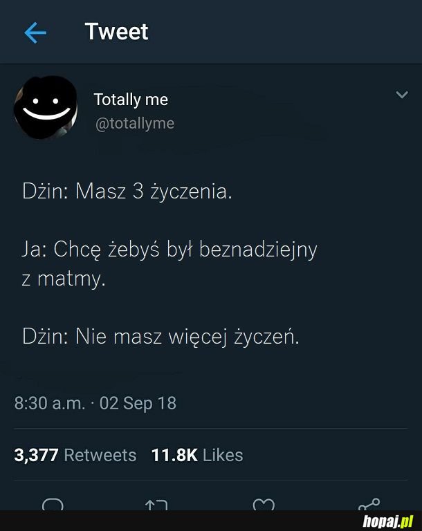 Gdybym spotkał dżina