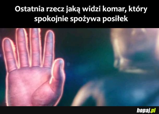 Posiłek 