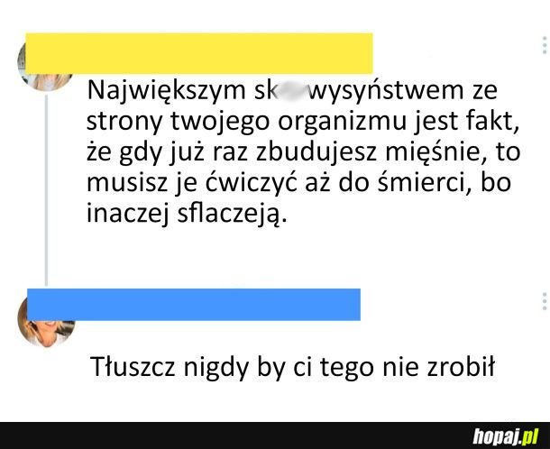 Xd