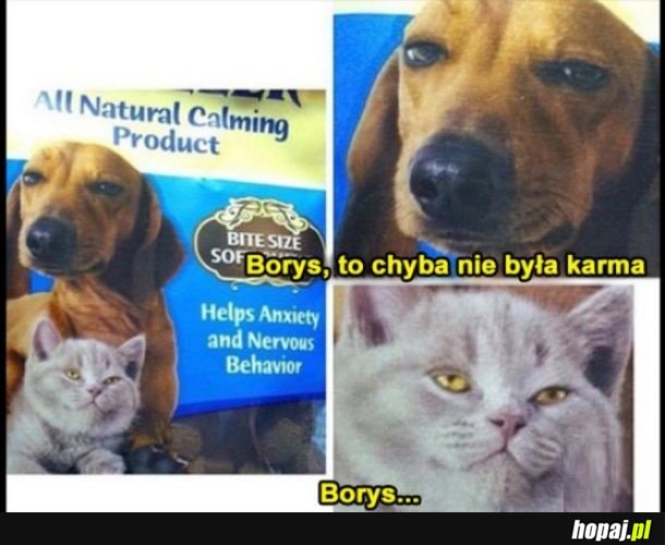 Borys...