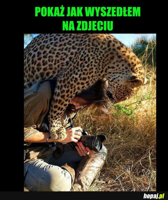 MIŁOŚNIK ZDJĘCIA
