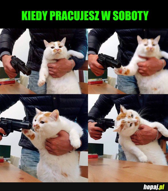 PRACA W SOBOTY