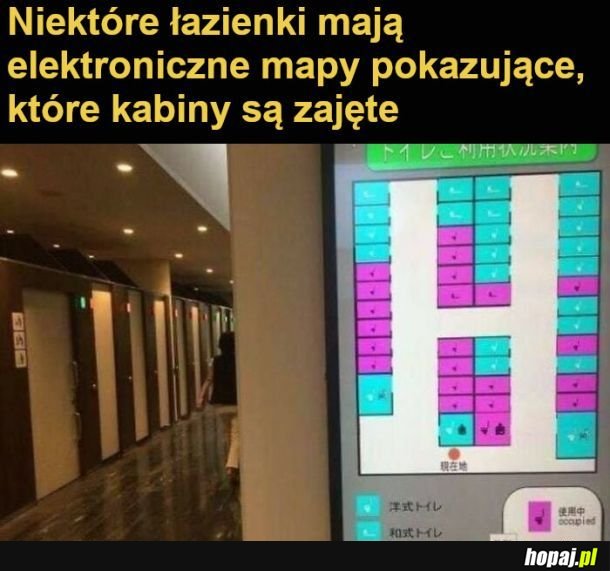 Fakt o Japonii