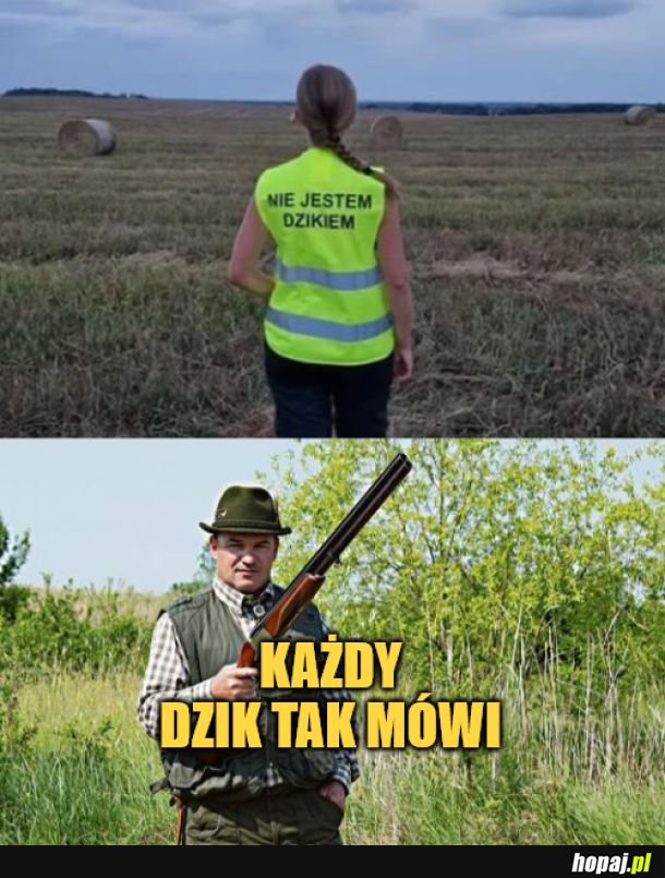 Dzik.
