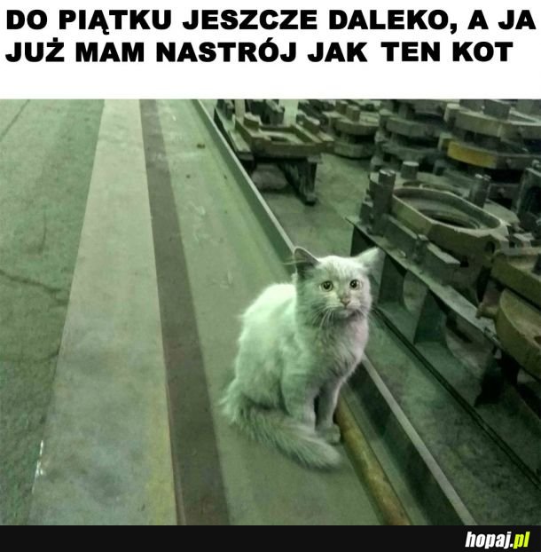  Nastrój na dziś 