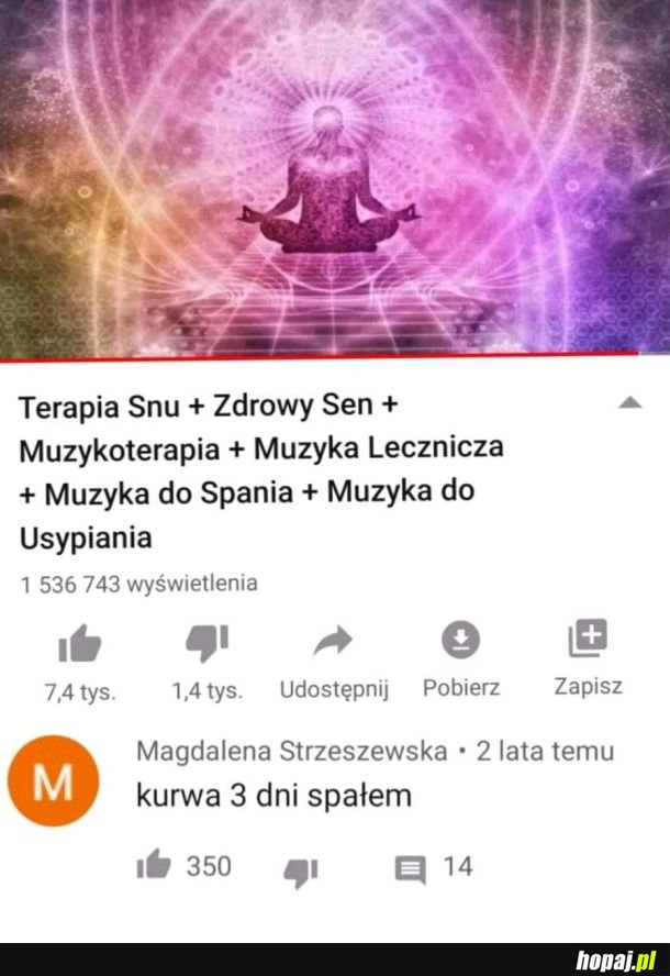 Terapia snu