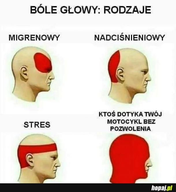 Ból głowy 