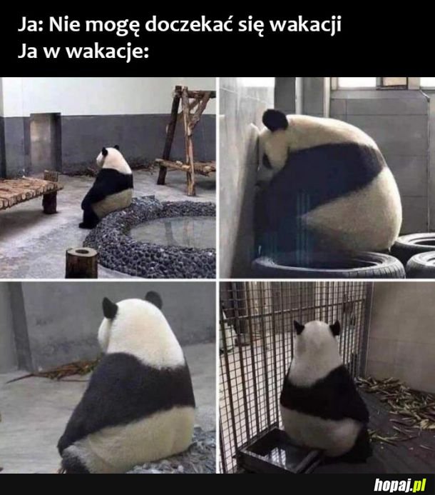  Wakacje