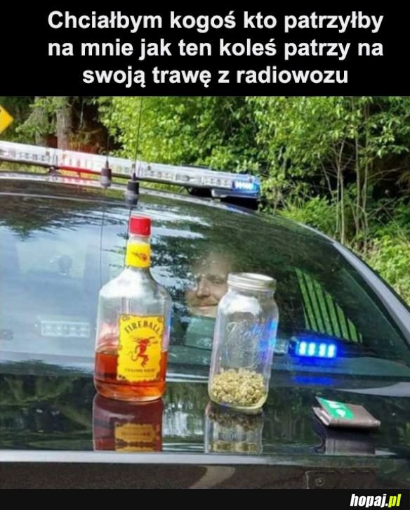 Chciałbym kogoś takiego