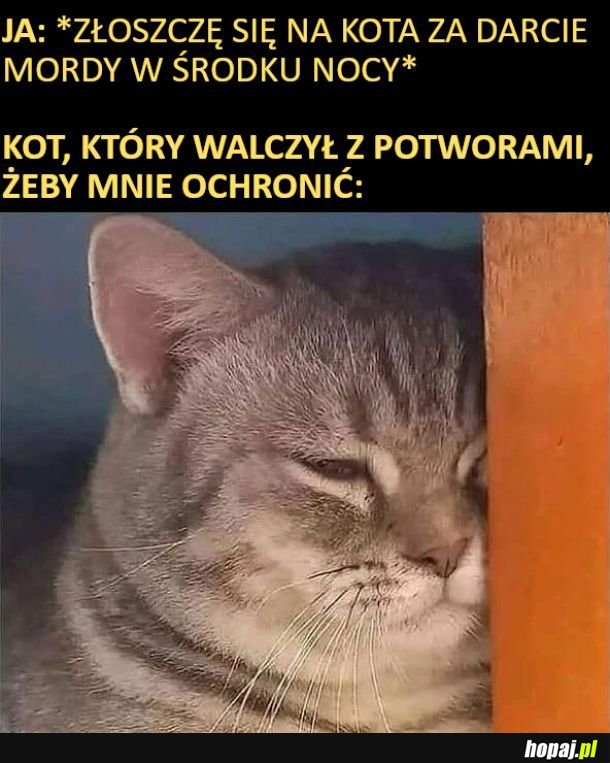 Obrońca