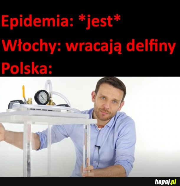 Uciekł z piwnicy AdBustera