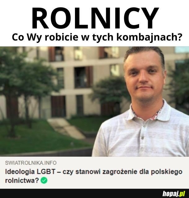 Rzepak oraz świnia - normalna rodzina!