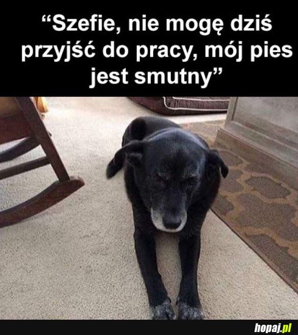 BARDZO WAŻNY POWÓD