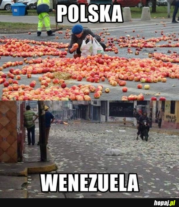 Polska vs Wenezuela
