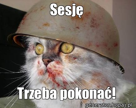 Sesję