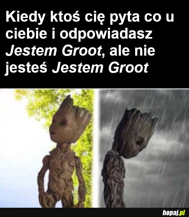  Nastroje mam takie