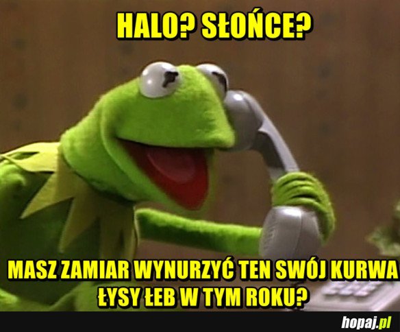 HALO SŁOŃCE!