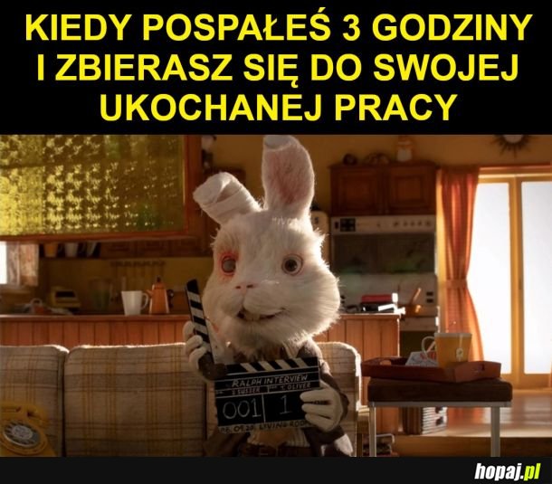 Kolejny dzień w cudownej pracy